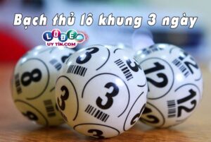 Bạch thủ lô kép nuôi khung 3 ngày chính xác nhất