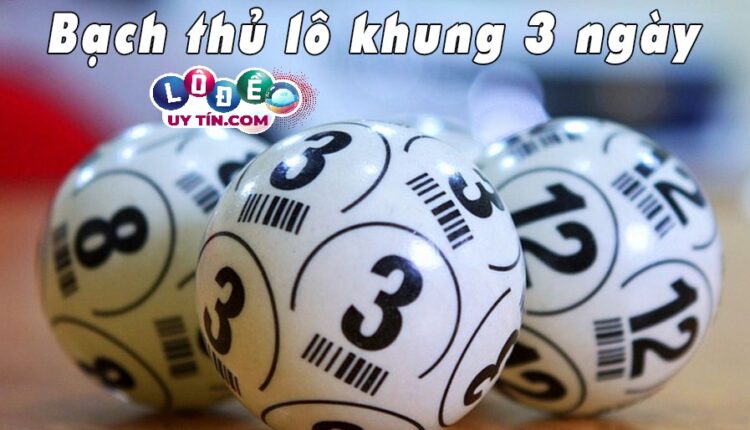 Bạch thủ lô kép nuôi khung 3 ngày chính xác nhất