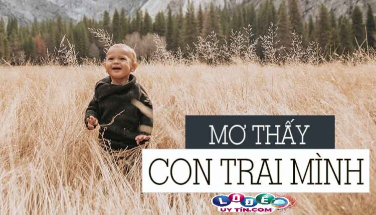Nằm mơ thấy con trai mình đánh con gì, điềm lành hay dữ