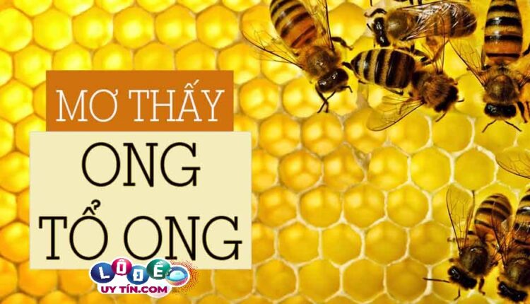 Nằm mơ thấy ong có ý nghĩa gì? Giải mã giấc mơ thấy ong 2 Nằm mơ thấy ong có ý nghĩa gì? Giải mã giấc mơ thấy ong