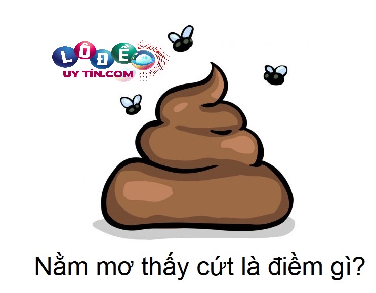 Nằm mơ thấy phân: Điềm báo và con số may mắn 3 Một số giấc mơ thấy phân khác mang điềm báo gì