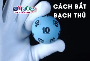 Tổng hợp số bạch thủ lô vip chính xác từ các chuyên gia