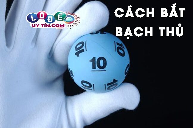 bắt lô bạch thủ chuẩn nhất của chuyên gia theo phương pháp anh em