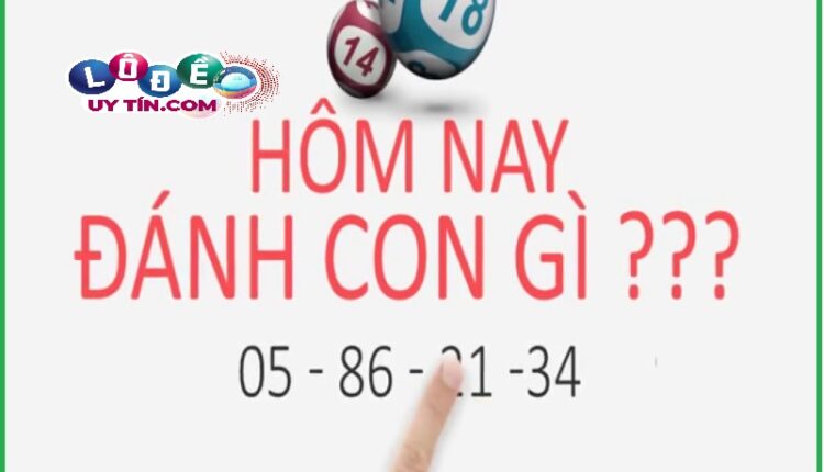 Bí kíp soi lô theo ngày chuẩn nhất của chuyên gia lô đề