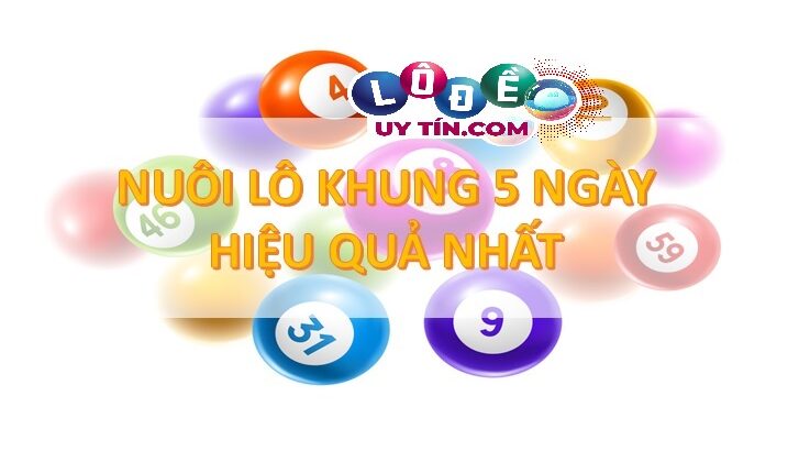 Cách vào tiền nuôi lô cặp 5 ngày hợp lý với lãi cực cao 2 Cách vào tiền nuôi lô cặp 5 ngày hợp lý với lãi cực cao