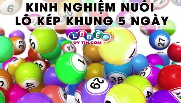 Cách nuôi lô kép khung 5 ngày chuẩn và chính xác nhất 2 nuôi lô kép khung 5 ngày 1