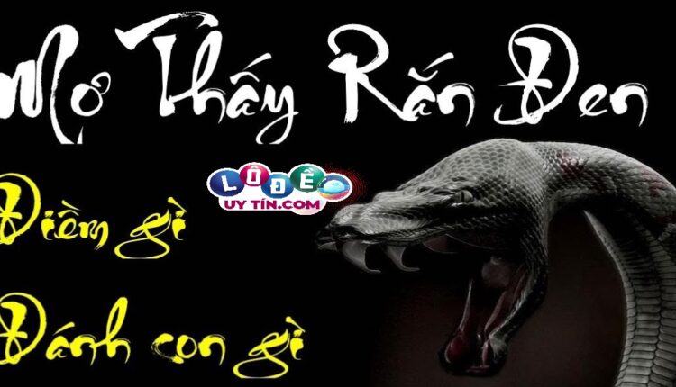 Mơ thấy rắn đen trắng đánh con gì và ý nghĩa giấc mơ