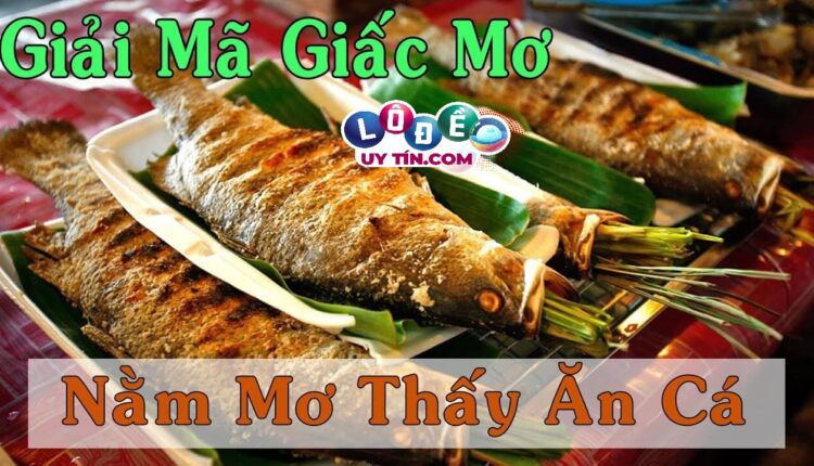 Giải mã giấc mơ thấy ăn cá - Mơ thấy ăn cá nên đánh con gì