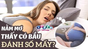 Mơ thấy có bầu là điềm báo gì, đánh con gì?