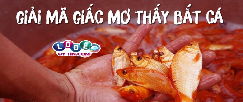 Giải mã mơ bắt được cá đánh con gì, là điềm gì? 1 Giải mã mơ bắt được cá đánh con gì, là điềm gì?