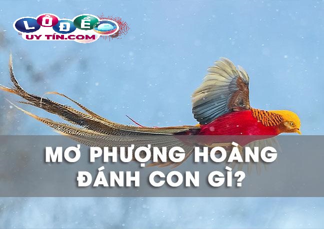Mơ thấy chim phượng hoàng có ý nghĩa gì, đánh số mấy? 2 Mơ thấy chim phượng hoàng có ý nghĩa gì, đánh số mấy