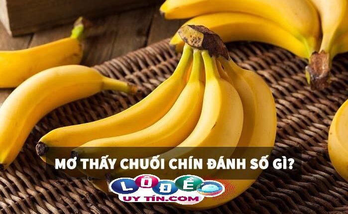 Lý giải giấc mơ thấy chuối chín đánh số nào? Là điềm báo gì? 2 Lý giải giấc mơ thấy chuối chín đánh số nào? Là điềm báo gì