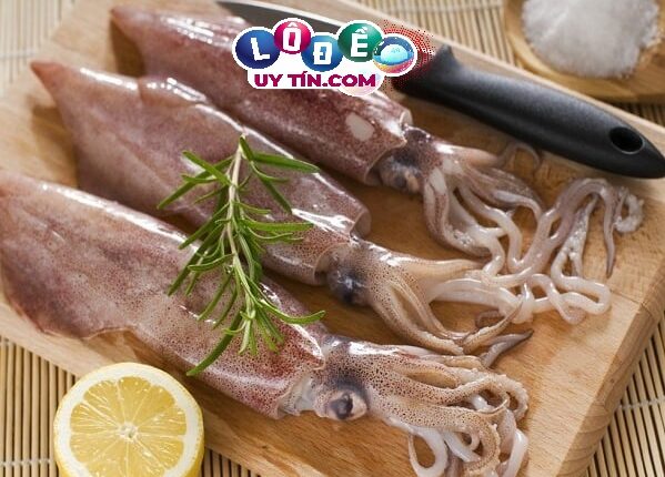 Chiêm bao mơ thấy con mực - Nằm mơ thấy mực đánh số đề gì? 2 Chiêm bao mơ thấy con mực - Nằm mơ thấy mực đánh số đề gì