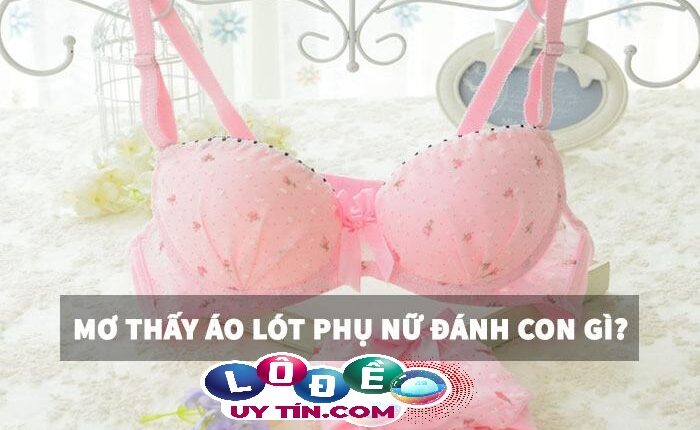 Giải mã giấc mơ - Mơ thấy áo lót phụ nữ đánh con gì 1