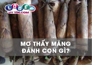 Chiêm bao mơ thấy măng đánh con gì? Giải mã ý nghĩa giấc mơ