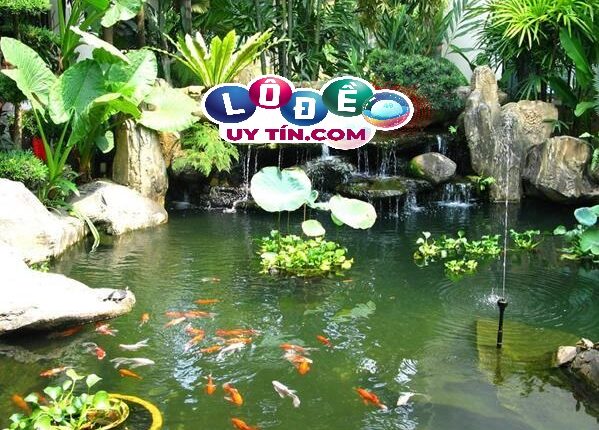 Giải mã nằm mơ thấy hồ cá là tốt hay xấu? Nên đánh con gì? 2 Giải mã nằm mơ thấy hồ cá là tốt hay xấu? Nên đánh con gì