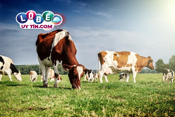 Giải mã giấc mơ thấy bò đánh con gì? Điềm báo lành hay dữ 2