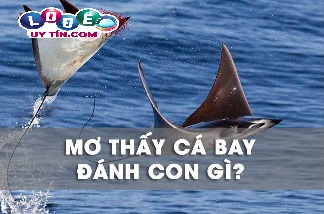 Nằm mơ thấy cá biết bay là tốt hay xấu, con số nào cho bạn