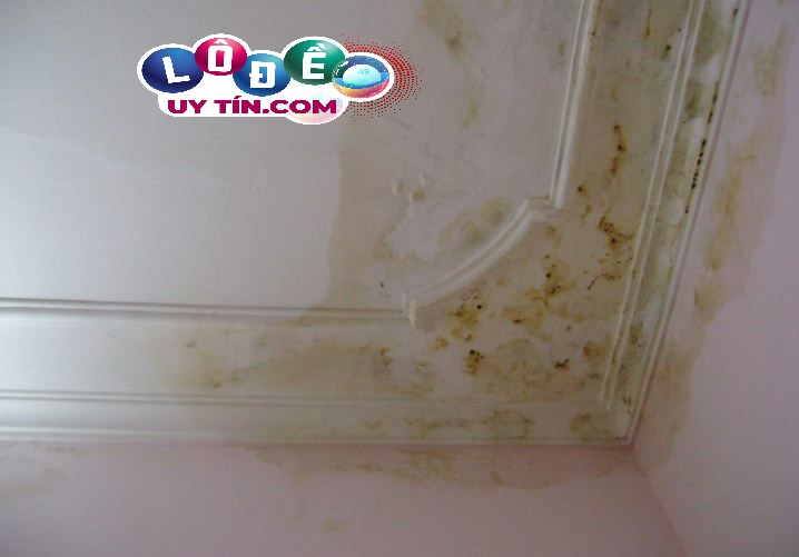 Giải mã nằm mơ thấy nhà dột - Con số nào liên quan? 2 Giải mã nằm mơ thấy nhà dột - Con số nào liên quan 1