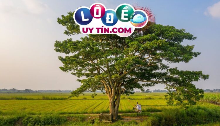 mơ thấy cây cổ thụ đánh con gì
