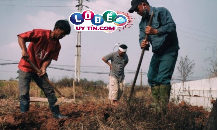 Mơ thấy bốc mộ có ý nghĩa gì, đánh con gì ăn 2