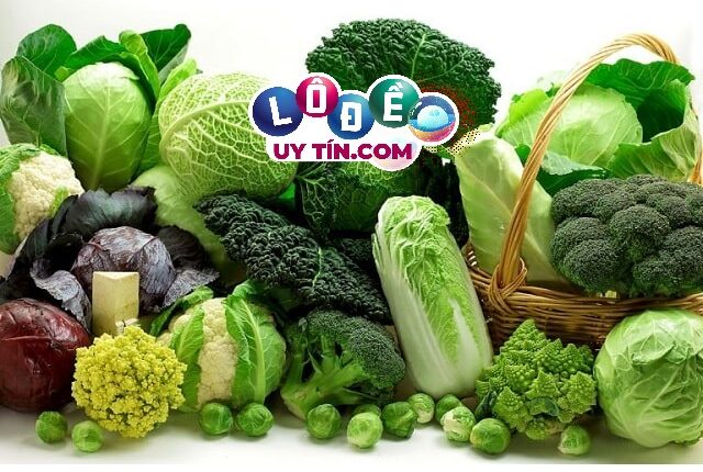 Nằm mơ thấy rau cải đánh con gì, có ý nghĩa gì 1