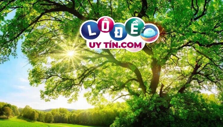 Nằm mơ thấy cây cối là điềm báo gì, đánh số gì? 2 Nằm mơ thấy cây cối là điềm báo gì, đánh số gì dễ trúng