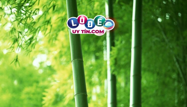 mơ thấy cây tre đánh con gì, là điềm gì