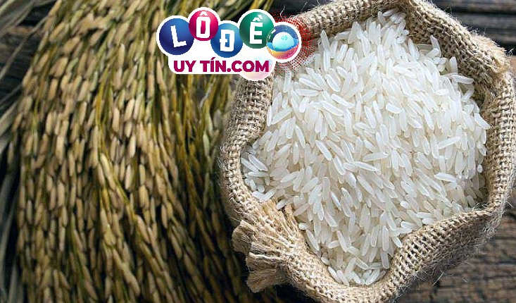 Giải mã mơ thấy gạo là điềm gì, đánh con gì phát tài 2