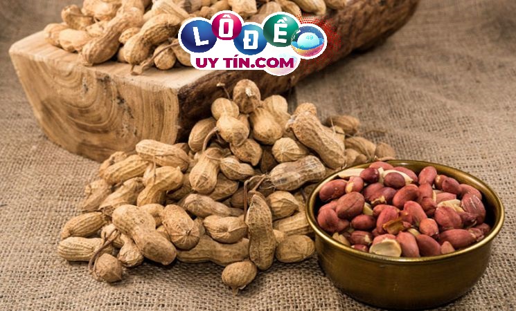 Ngủ mơ thấy hạt đậu báo hiệu điềm gì 1