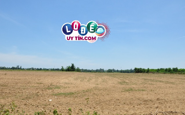 mơ thấy mua đất đánh con gì