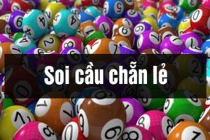 soi-cau-chan-le-1