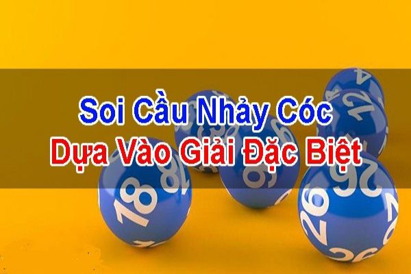 soi-cau-nhay-coc-2