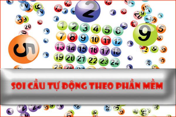 soi-cau-tu-dong-2