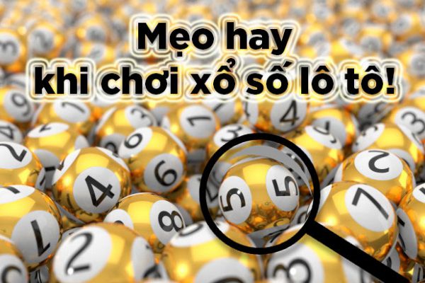 lo-to-la-gi-2