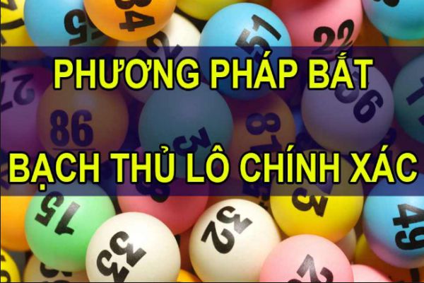 soi-cau-bach-thu-lo-2