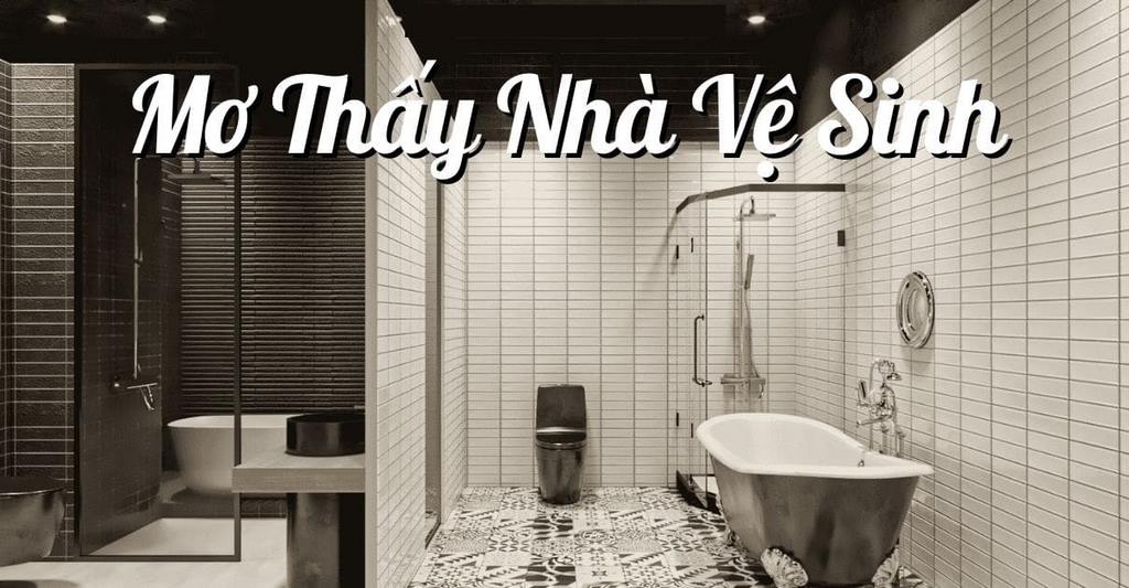 Mơ Chuồng Xí - Giải Mã Giấc Mơ Thấy Chuồng Xí Đánh Con Gì 4 Gợi ý số đề may mắn khi mơ thấy chuồng xí