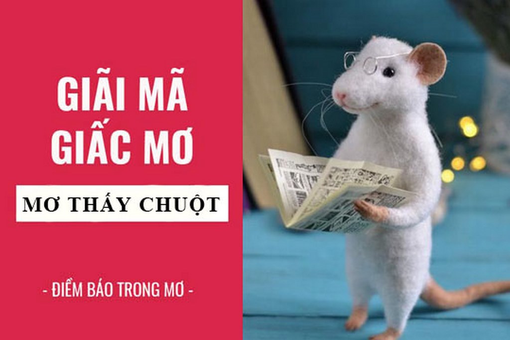 Con số may mắn khi mơ thấy chuột bạch