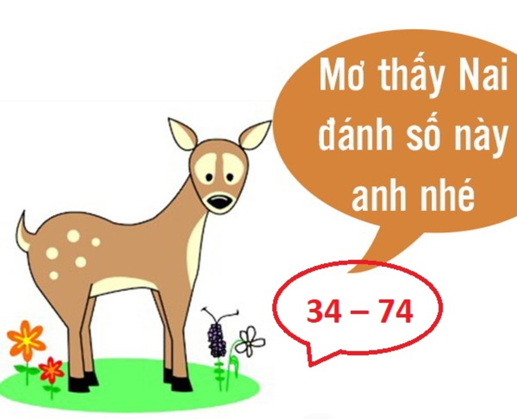 Mơ thấy con nai – Giải mã giấc mơ về con nai chuẩn nhất 3 Đánh đề theo giấc mơ thấy con nai chuẩn xác