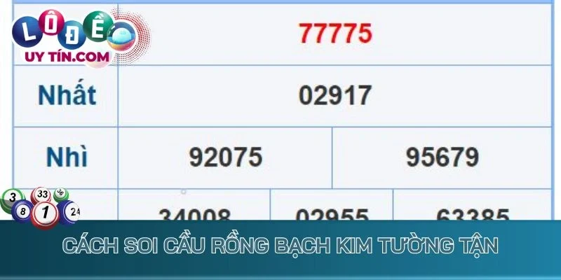 Cách soi Cầu Rồng Bạch Kim tường tận
